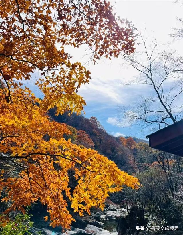 穿越米仓红枫，探秘巴山大峡谷：秦巴山脉里的秋日秘境与千年巴韵