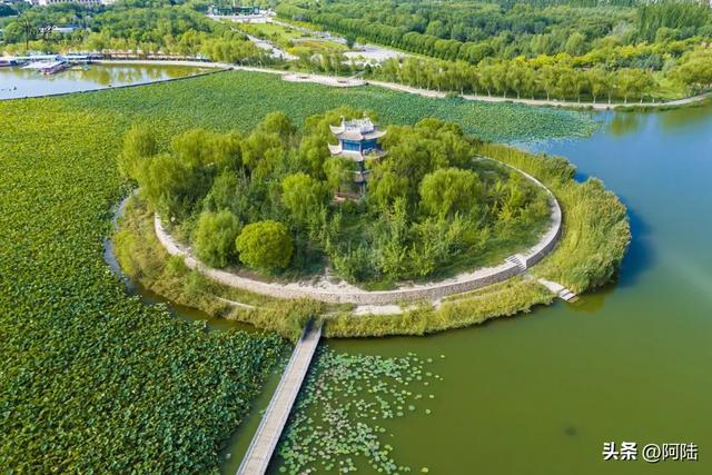 张掖润泉湖的生态风光绰约，它还是甘肃省首座国家级城市湿地公园