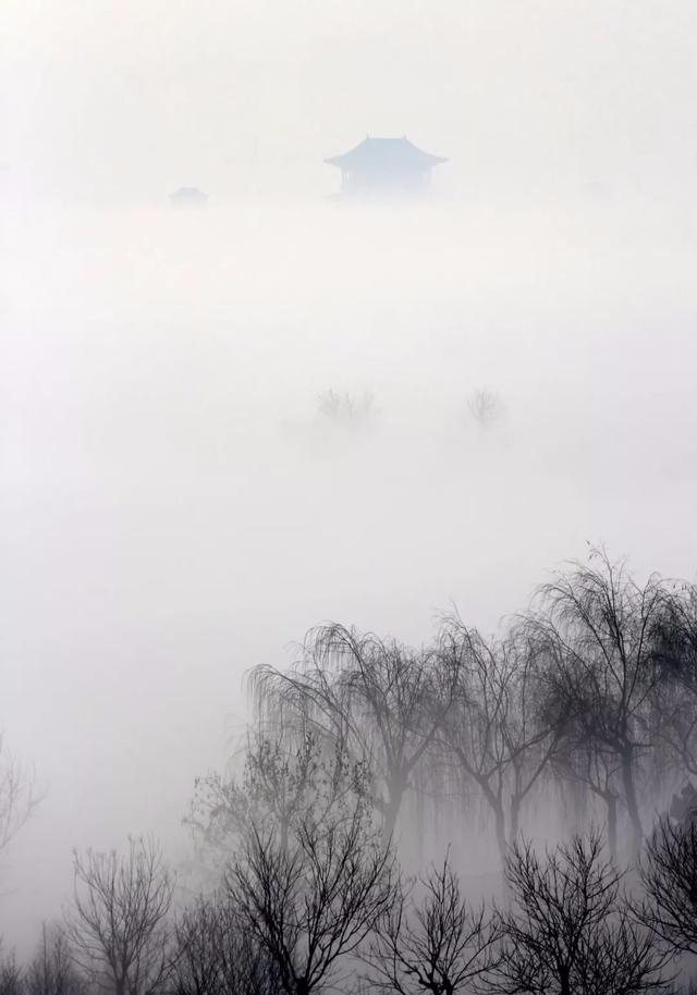 下雪啦！快去打卡聊城初雪限定皮肤！