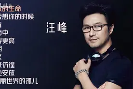 【美·听】汪峰十首推荐歌曲：《怒放的生命》《在雨中》 《光明》图片