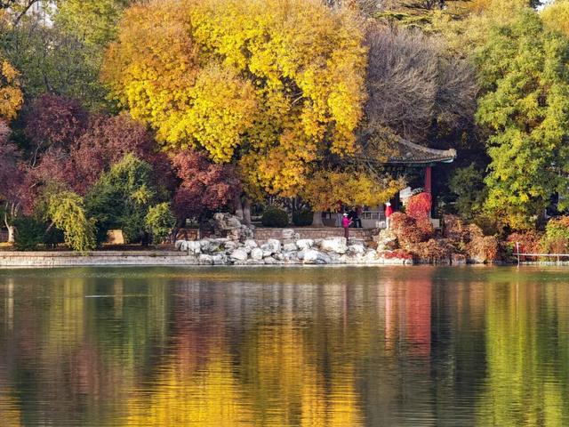 你会怀念这个秋天吗？