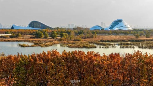 这样的哈尔滨，你见过吗？