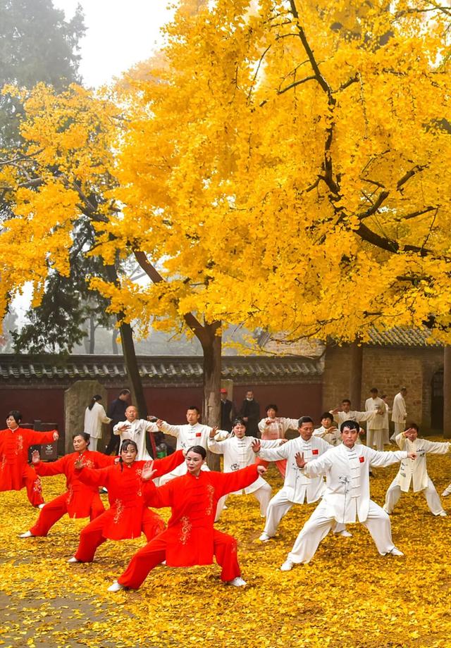 康养旅游，为何选日照？