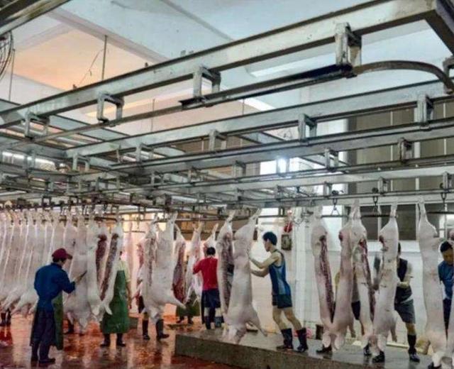 欧盟高兴早了！刚拿到中方稀土许可证，第二天就收到一条坏消息