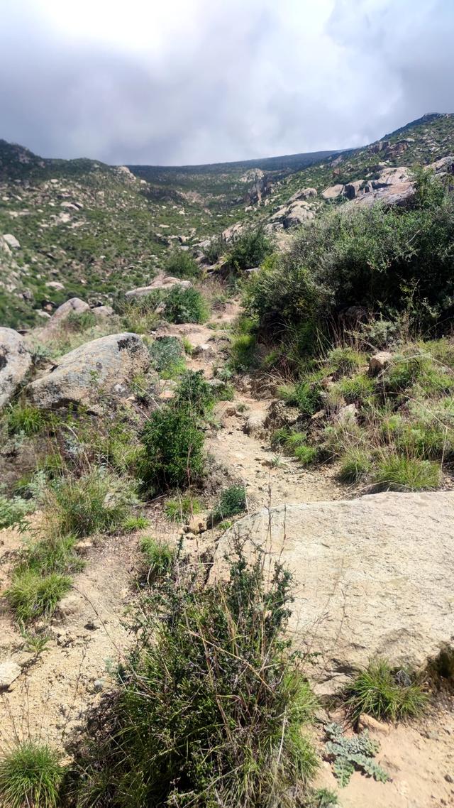 爬拉萨哲蚌寺后山,从海拔3600米到山顶5300米,上下20公里