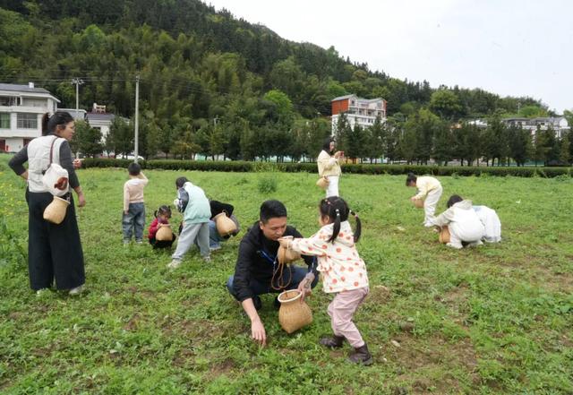 踏青、采艾、亲子……上犹县梅水乡春日文旅活动点亮清明假期