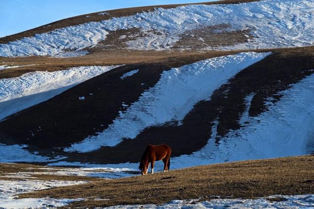 如要选一个冬季最佳拍雪景的地方,首选一定是它