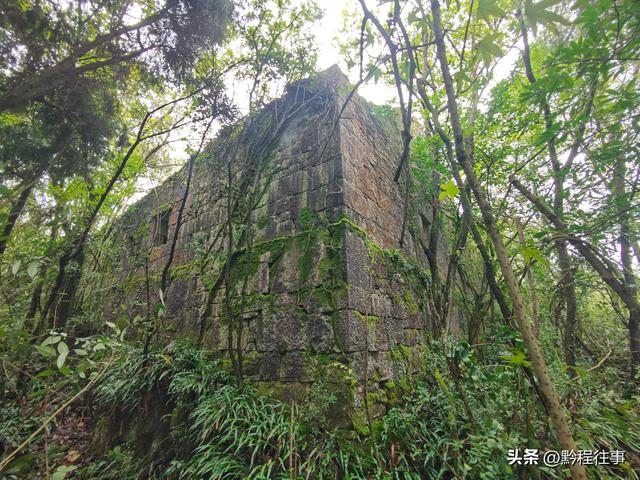 探寻龙眼山古寺遗址，一次最为艰难的野外探险之旅