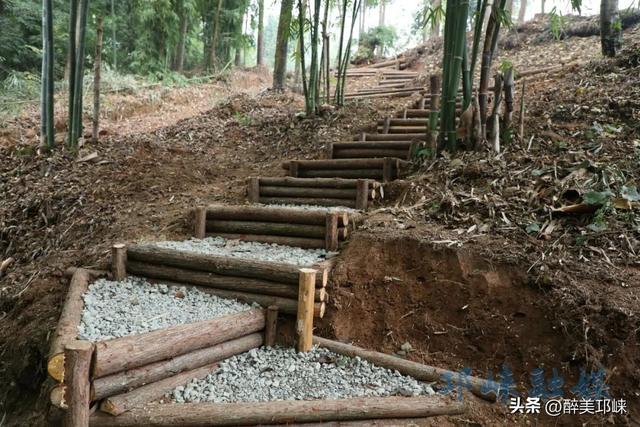 崃户外丨邛崃这条用原木碎石铺成的徒步线，藏着南丝路的秘密