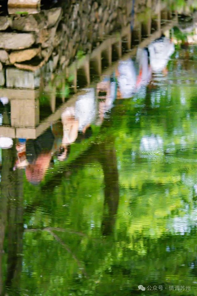 苏州拙政园的曲水里，藏着另一处天地