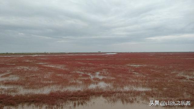 环游大东北之漫步锦州凌海红海滩