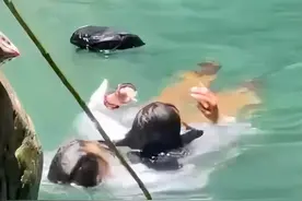 52岁大叔跳5米深潭救人后续，女子谢礼曝光，网友怒了，称白救了图片