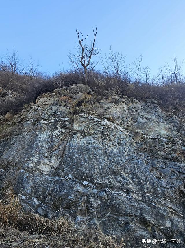 大山和大海，你更向往哪一个？大山里有风景，大海里有风情!