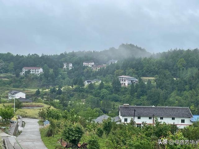 在陇南的夜色里，行走于白龙江畔