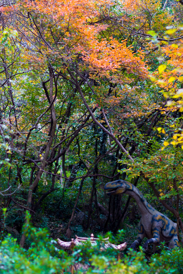 立冬！来黄陂再和秋天撞个满怀！
