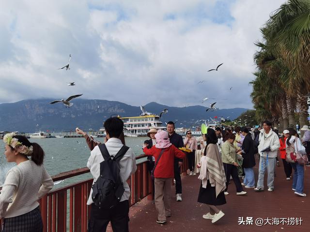 云南行·记·昆明篇D5昆明游最后一站，打卡滇池，与红嘴鸥悠然相遇