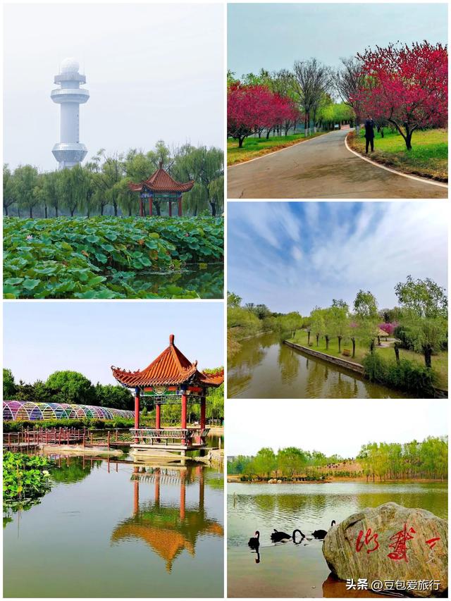 漫步中华龙都，邂逅杂技之乡——濮阳深度游攻略