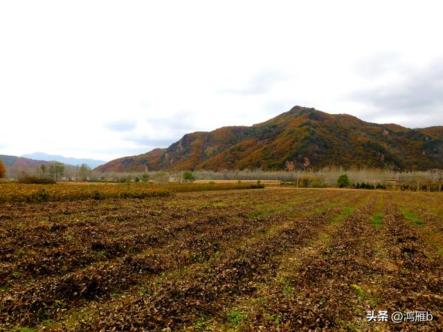 本溪太子河沿途一百公里风光——老边沟大石湖（四）