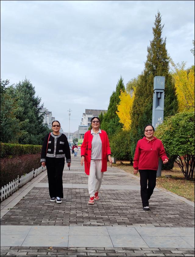 宣化万柳公园银杏黄来火炬红，战友军嫂游园观赏图片集