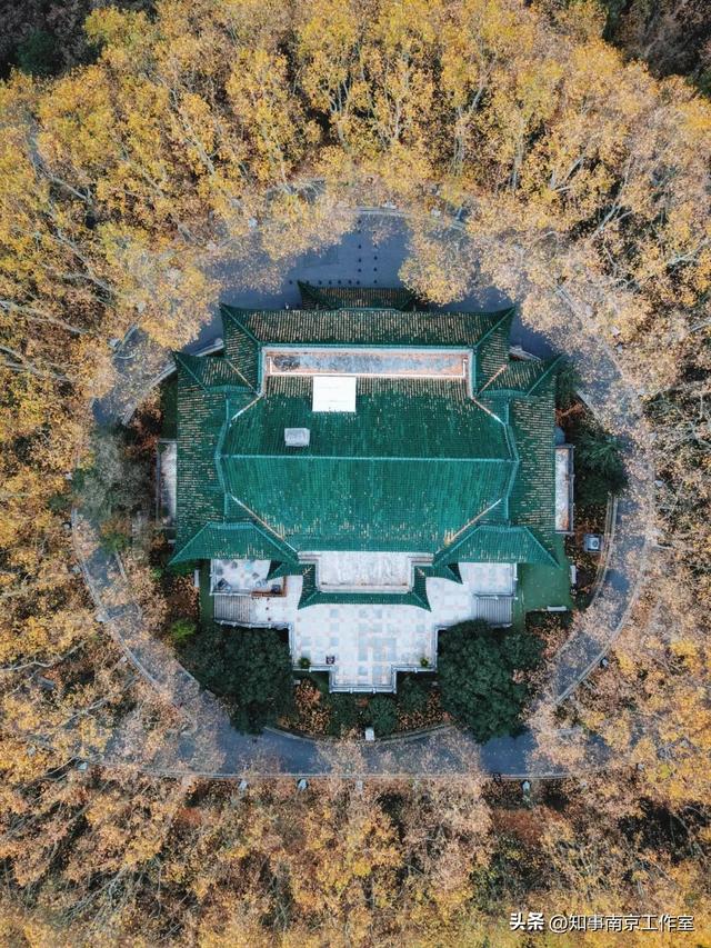 51张照片告诉你，南京的秋天有多美！