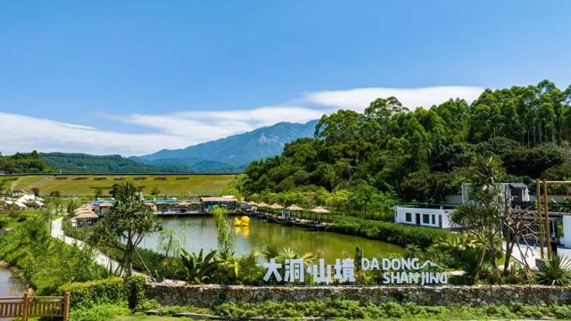 来了！知名主持人倪萍打卡罗浮山！