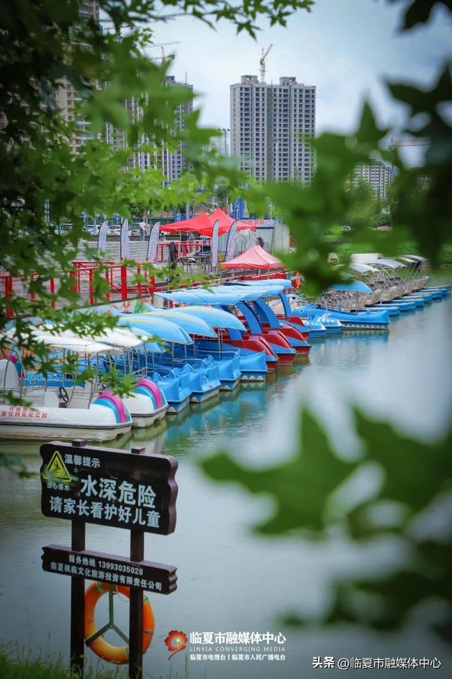 秋雨落，诗意起…邂逅临夏秋雨的美