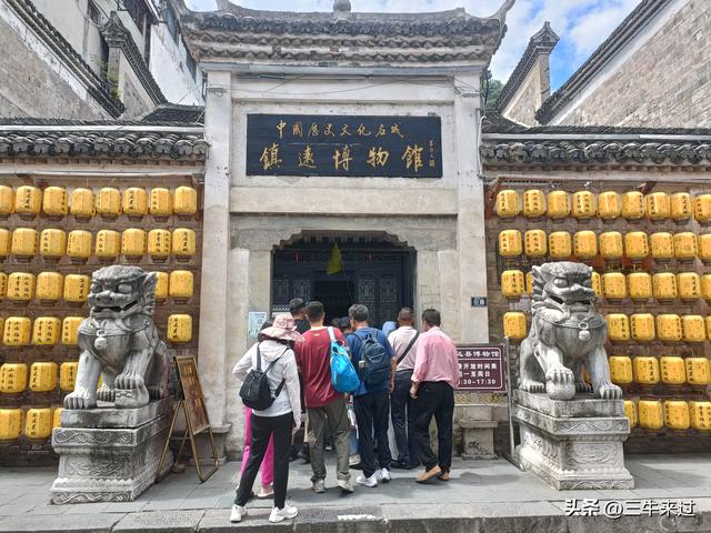 无为在歧路，2025之经行