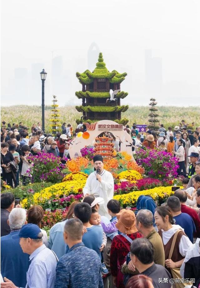 武汉菊花展60万盆花海，游客爆满，这场秋日浪漫让我心动不已