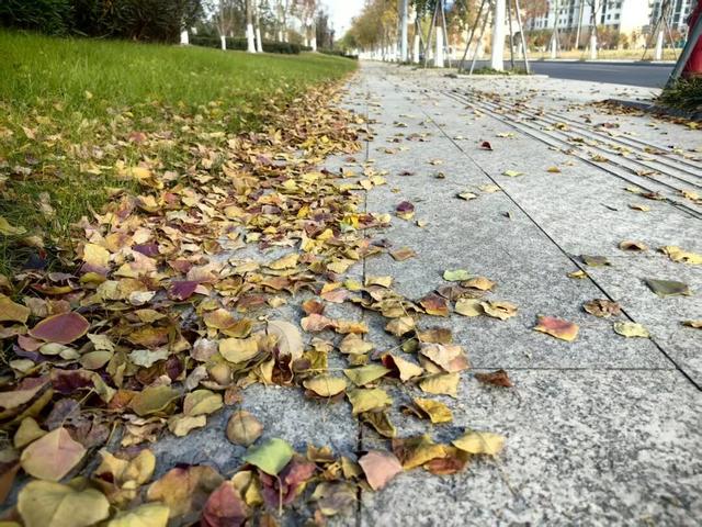 4个点位已公布！太仓人拍照请抓紧