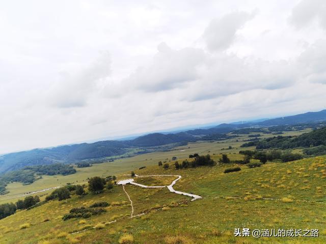 总要去趟草原吧！自驾塞罕坝和乌兰布统超简攻略（附图超全）