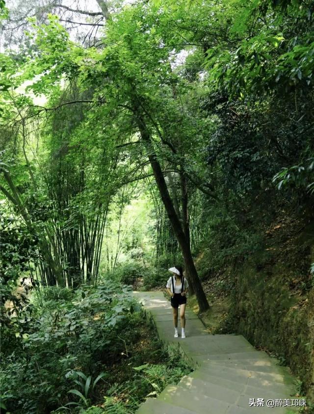 聆听邛崃丨徒步白鹤山