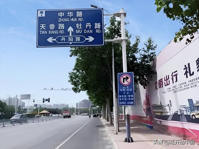 世界上最大牡丹园藏在中国 品种比你想象的多100倍