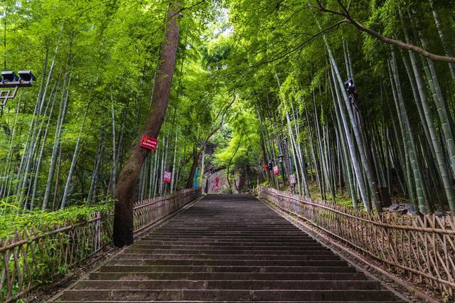 杭州6个值得一去的免费景点，好玩不花钱，拍照超出片，0元游杭州