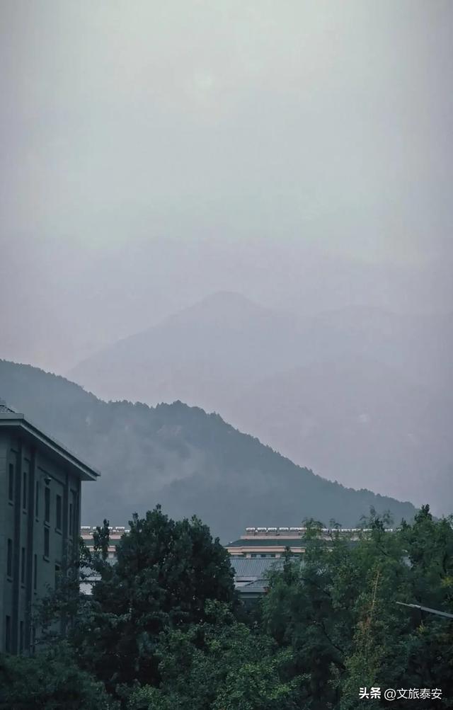 美极啦！下雨天去上班，小泰竟发现岱庙不同以往的一面→