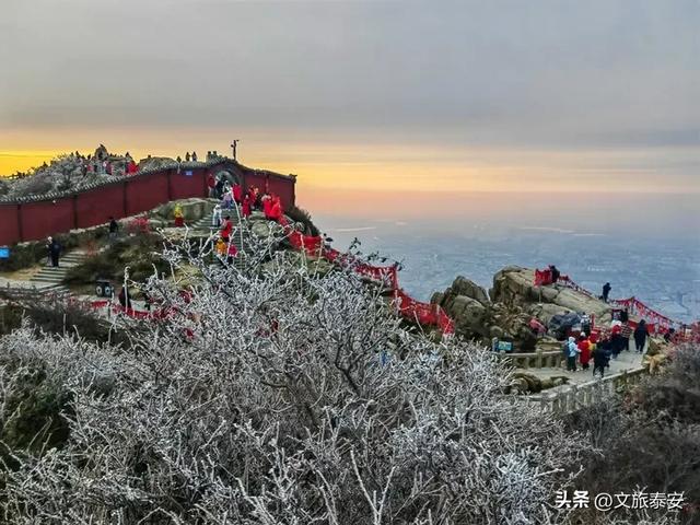 超震撼！气温骤降 泰山现秋日雾凇景观