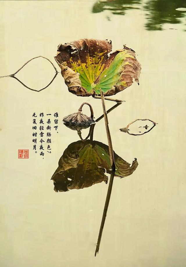 一日练拳，其益犹浅；终岁习功，其效方深。——题记