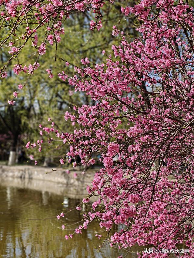 如果你也觉得很累，去赶一趟春吧！
