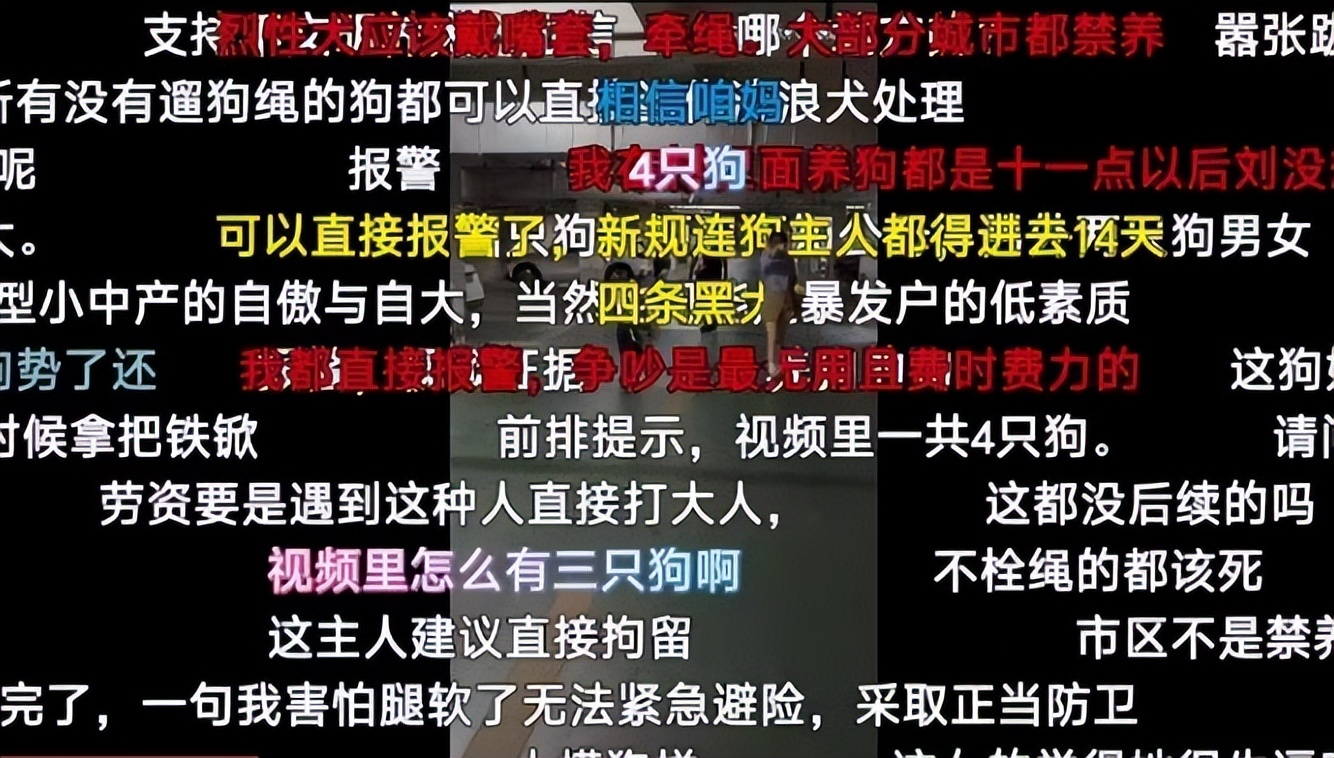 丹阳烈犬扑童后续:受害者全家遭威胁,女子身份不简单,难怪嚣张(图8) 丹阳烈犬扑童后续:受害者全家遭威胁,女子身份不简单,难怪嚣张(图8)