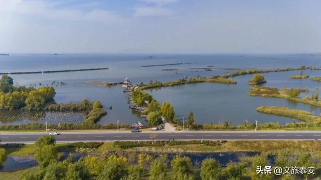 泰安“天空之镜”大火!连片芦苇+落日余晖 美到尖叫