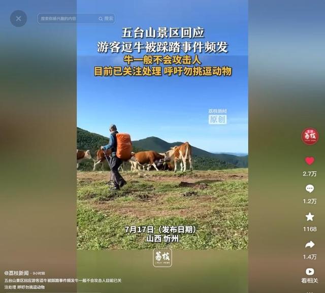 真相大白！男子遭牛群踩踏，不是因为挑逗，知情人透露 目标不是人