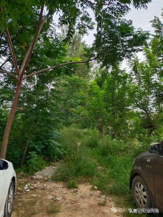 商丘市历史上小铁路