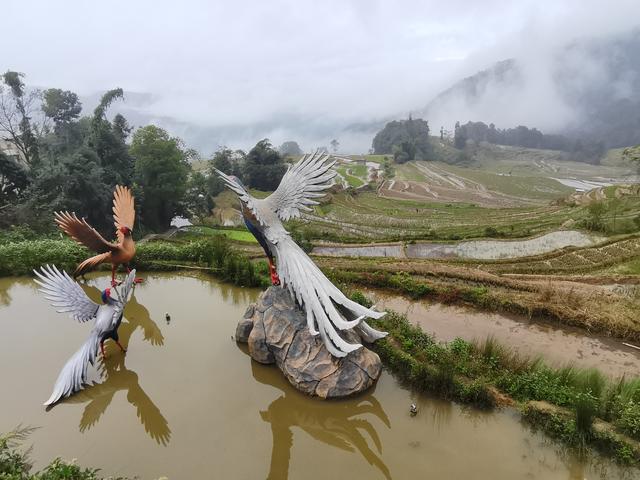 元阳梯田哈尼徽：稻作文化彝族曲 不朽诗篇底蕴谱