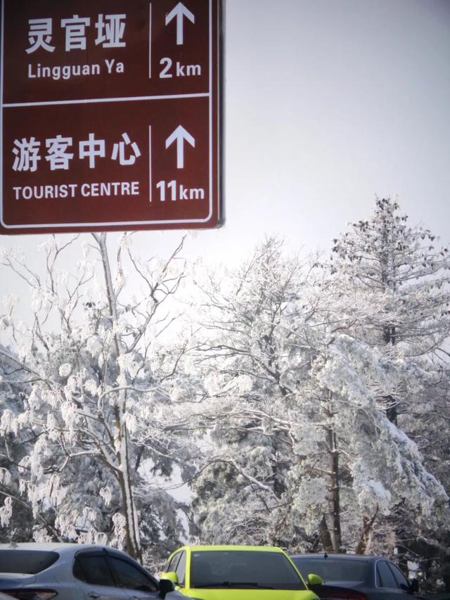 又来？这样的随州，你见没见过？