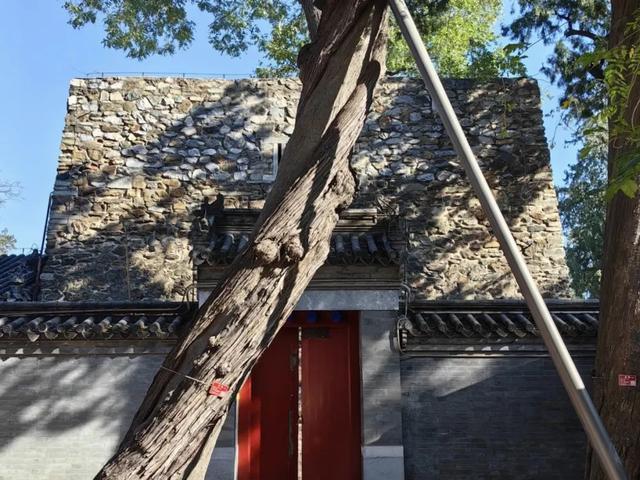 博物FUN | 在北京最神秘寺庙，遇见皇家工艺天花板