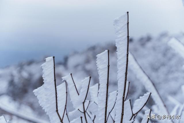 今冬数九时间表来了！从哪天开始入九？春节在几九？过年很冷吗？