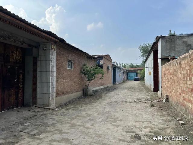 冠县乡韵·辛集镇崔刘八寨