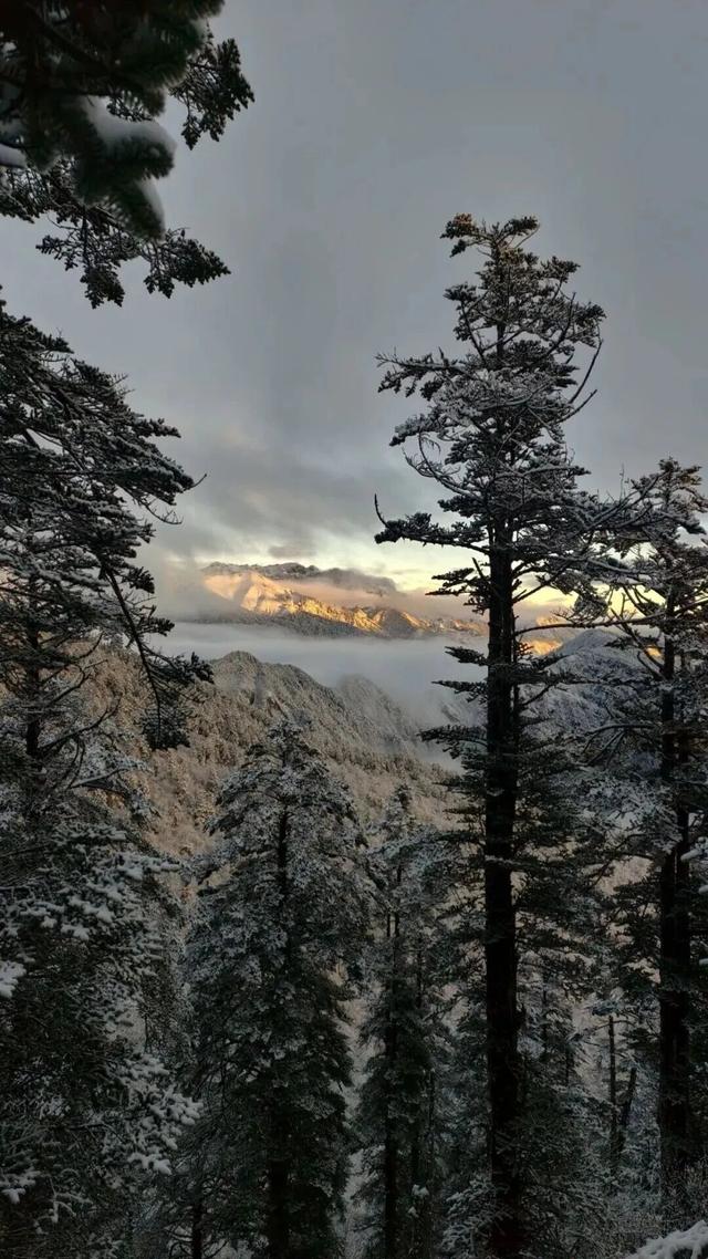 成都这里下雪啦！