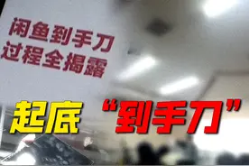 闲鱼卖家噩梦！职业“刀客”自曝：快递员打掩护、账号无限复活，平台监管形同虚设图片