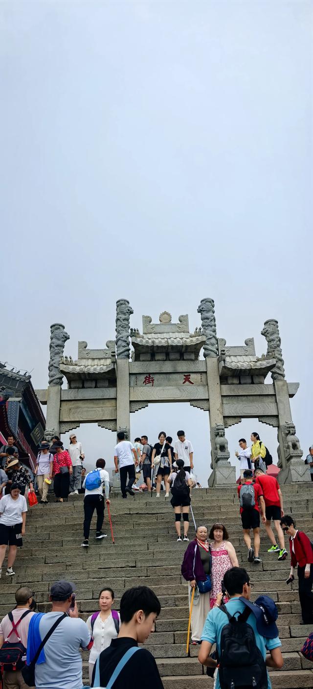 岱宗夫如何：看山不只是山