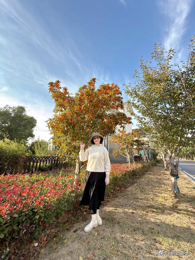 上海的乡村美得我头晕目眩